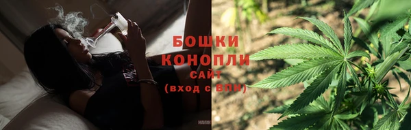 стаф Михайловск